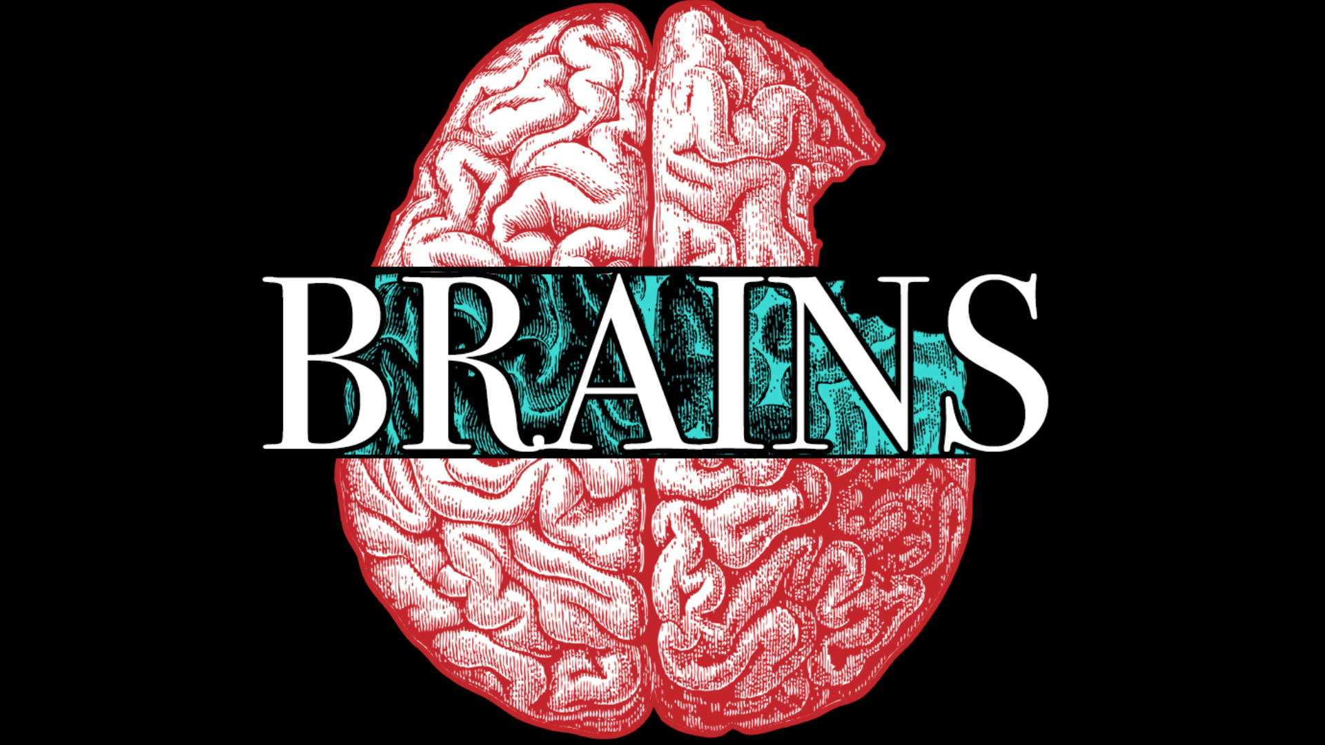 Brains