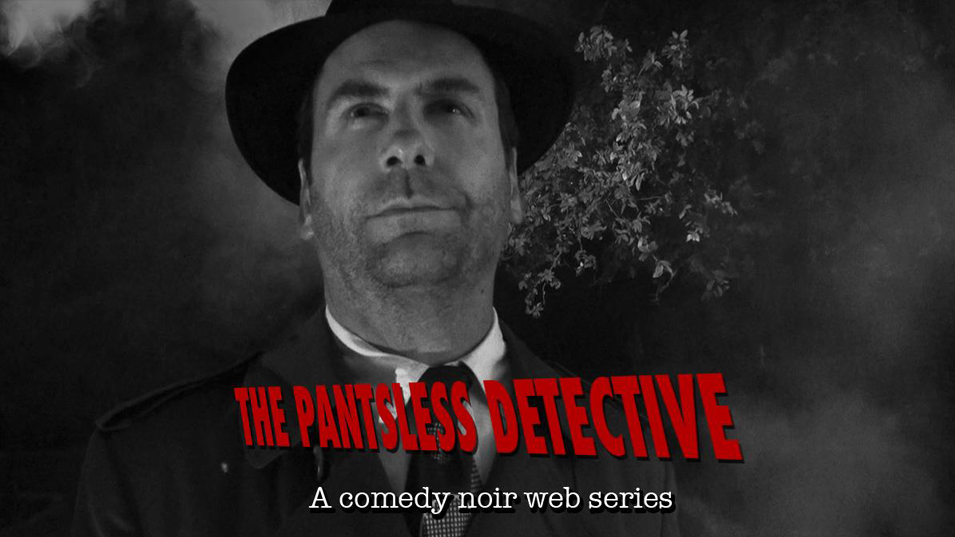 The Pantsless Detective