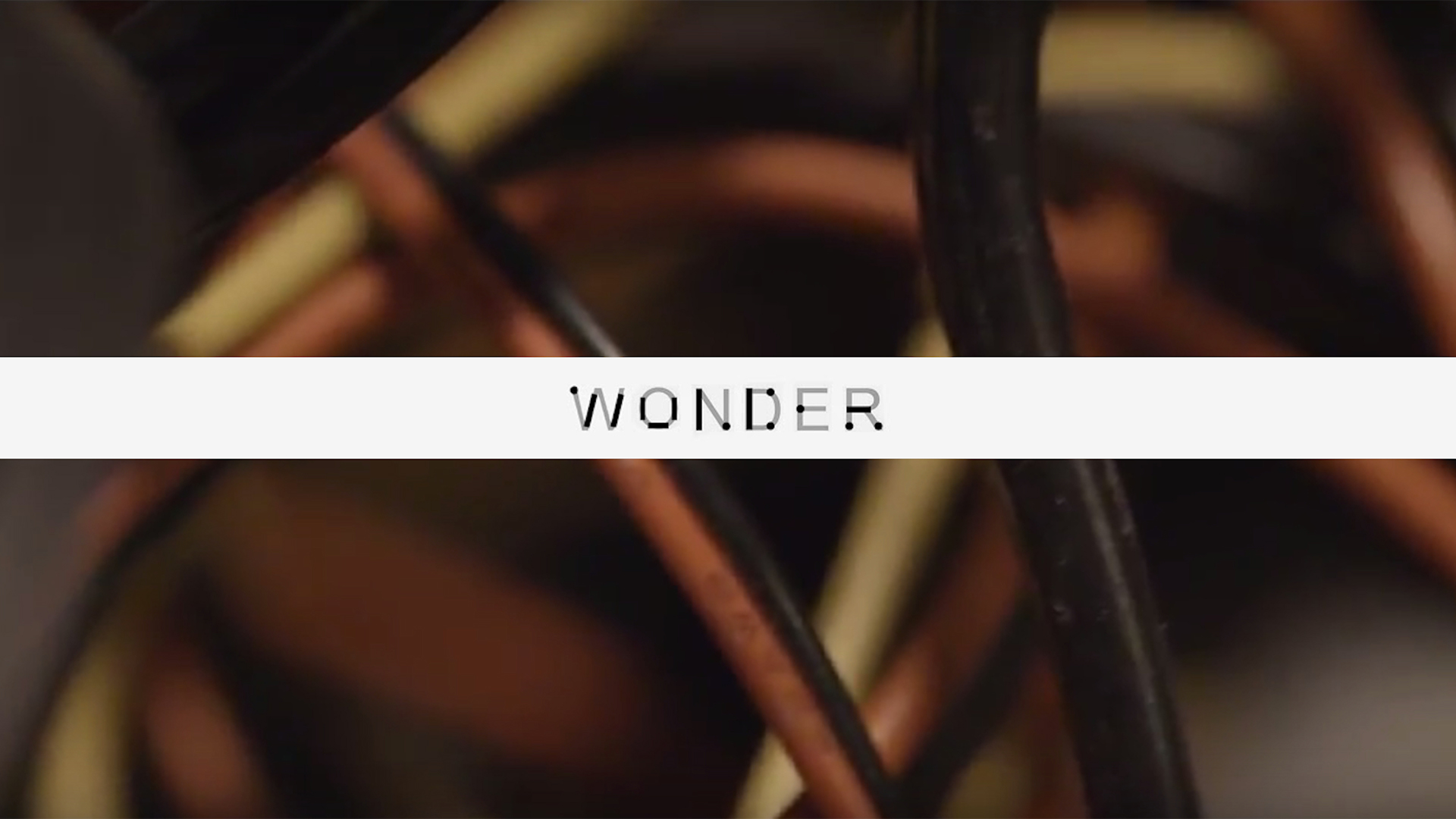 Wonder